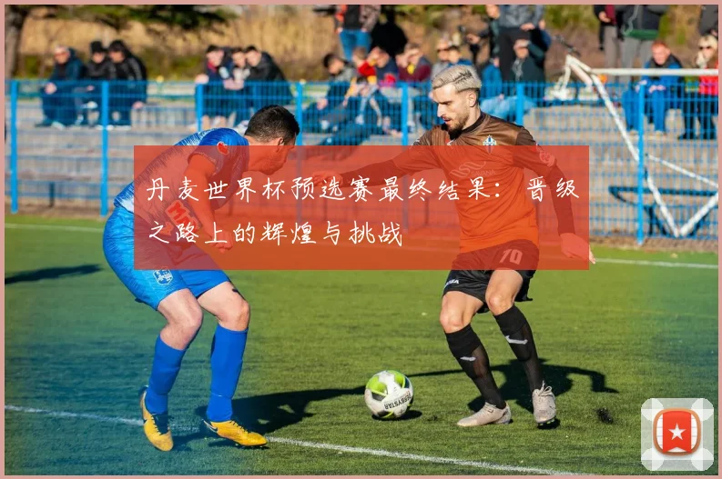 丹麦世界杯预选赛最终结果：晋级之路上的辉煌与挑战