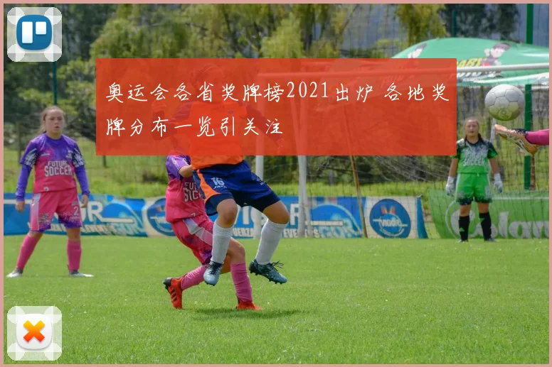 奥运会各省奖牌榜2021出炉 各地奖牌分布一览引关注