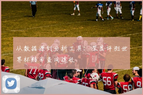从数据源到分析工具：深度评测世界杯赔率查询途径